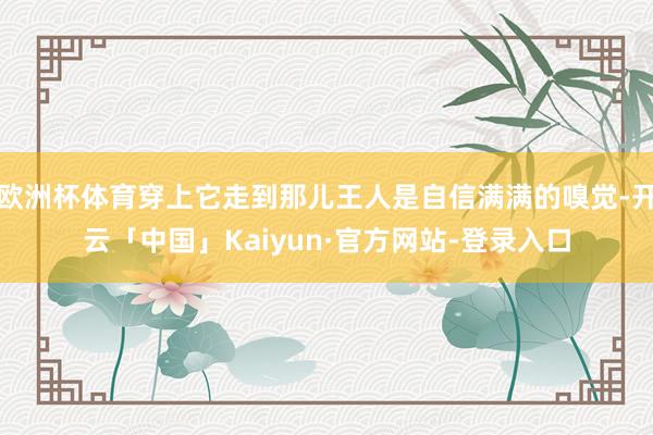 欧洲杯体育穿上它走到那儿王人是自信满满的嗅觉-开云「中国」Kaiyun·官方网站-登录入口
