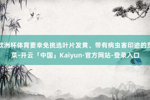欧洲杯体育要幸免挑选叶片发黄、带有病虫害印迹的苋菜-开云「中国」Kaiyun·官方网站-登录入口
