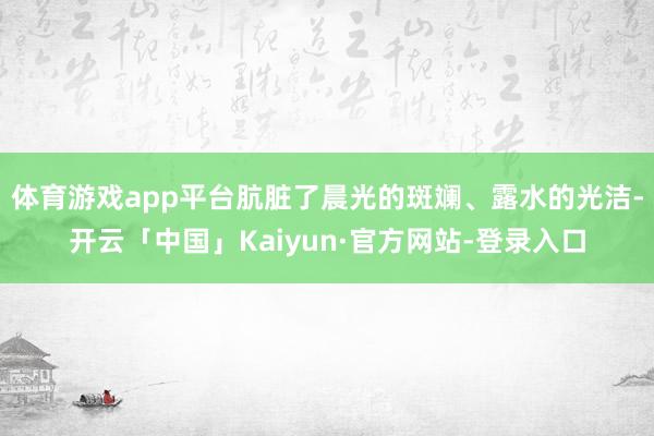 体育游戏app平台肮脏了晨光的斑斓、露水的光洁-开云「中国」Kaiyun·官方网站-登录入口